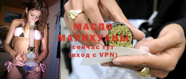 гидра Гатчина