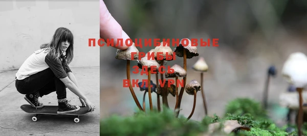 гашик Новокубанск