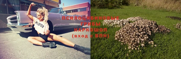 гашик Новокубанск