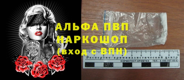 гашик Новокубанск
