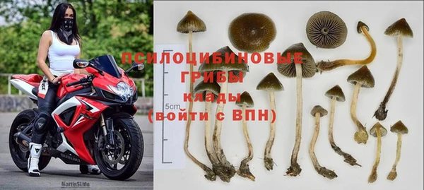 гашик Новокубанск