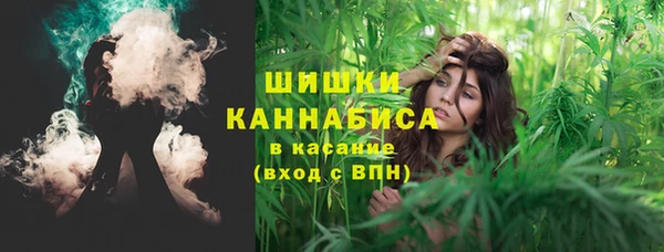 гашик Новокубанск