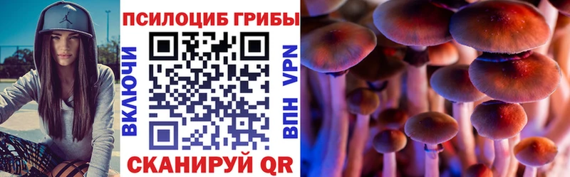 хочу наркоту  Радужный  Псилоцибиновые грибы прущие грибы 