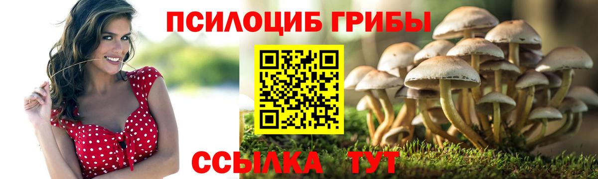 Галлюциногенные грибы мицелий  Вход с VPN  где купить   Галлюциногенные грибы мухоморы  Радужный 